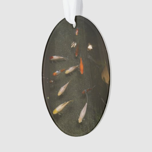 Ornament van Nishikigoi (Koi Fish) (voorkant)