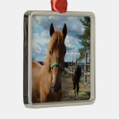 Ornament van paarden (Rechts)
