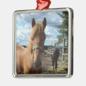 Ornament van paarden (Links)