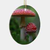 Ornament van paddenstoelen (Rechts)