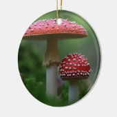 Ornament van paddenstoelen (Links)