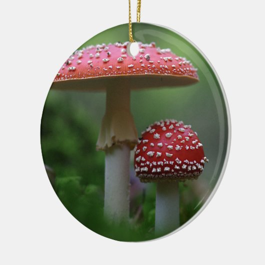 Ornament van paddenstoelen (Links)