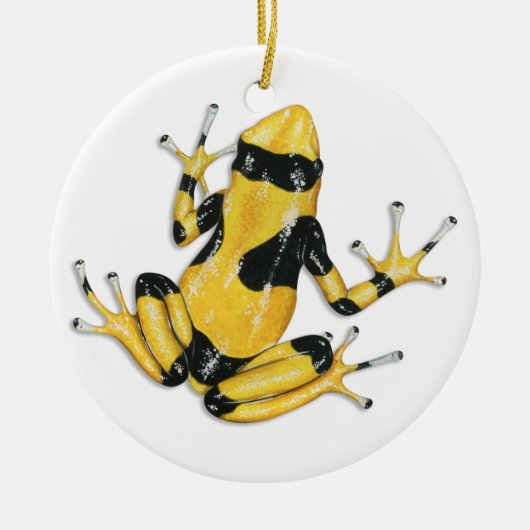 Ornament van Poison Dart Frog (Voorkant)
