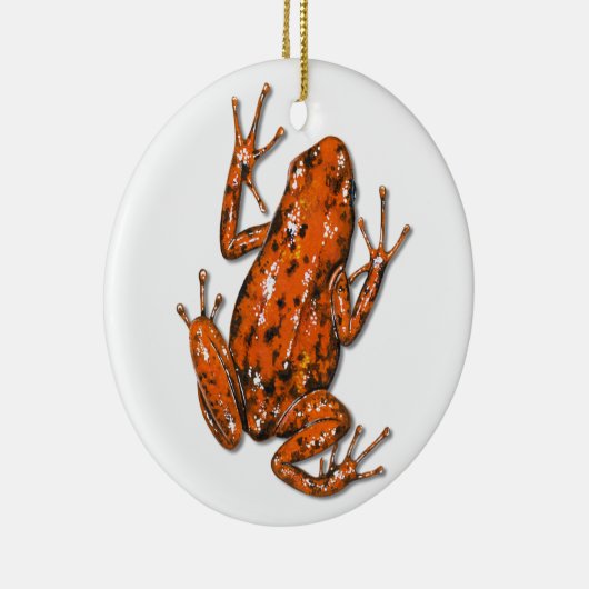 Ornament van Poison Dart Frog (Rechts)