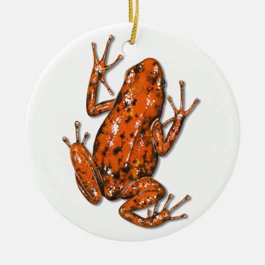 Ornament van Poison Dart Frog (Voorkant)