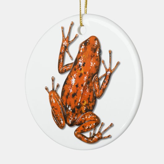 Ornament van Poison Dart Frog (Links)