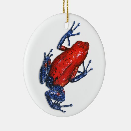 Ornament van Poison Dart Frog (Rechts)