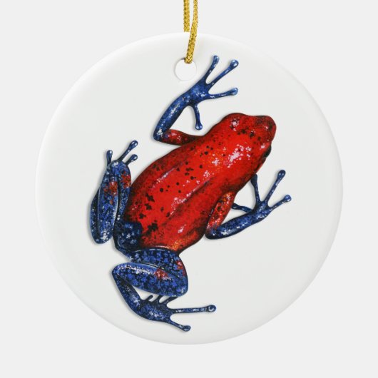 Ornament van Poison Dart Frog (Voorkant)