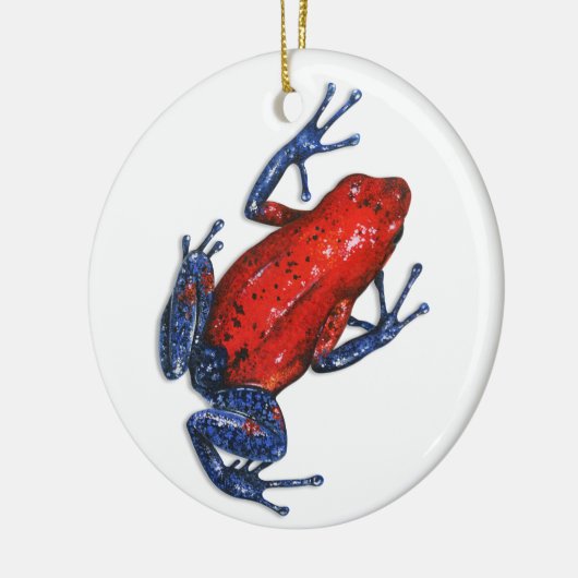 Ornament van Poison Dart Frog (Links)