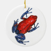 Ornament van Poison Dart Frog (Achterkant)