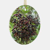 Ornament van rijpende vlierbessen (Rechts)