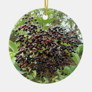 Ornament van rijpende vlierbessen
