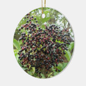 Ornament van rijpende vlierbessen (Links)