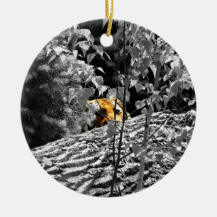 Ornament van Tiger Peek-a-boo