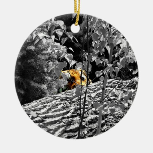 Ornament van Tiger Peek-a-boo (Voorkant)