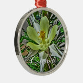 Ornament van witte colorado columbine (Rechts)