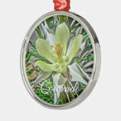 Ornament van witte colorado columbine (Links)