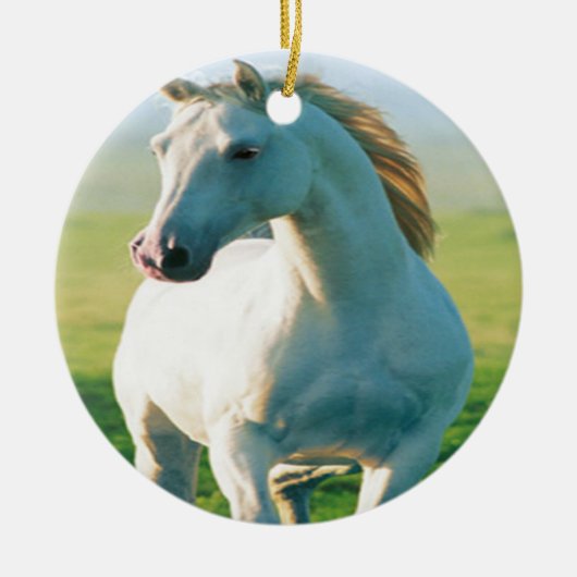 Ornament van witte paarden (Voorkant)