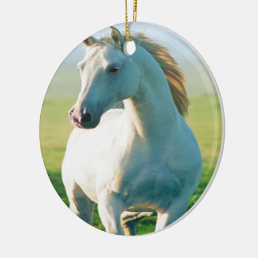 Ornament van witte paarden (Links)