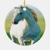 Ornament van witte paarden (Achterkant)