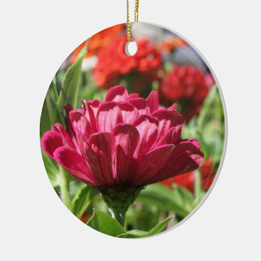 Ornament van zomertuin (Links)