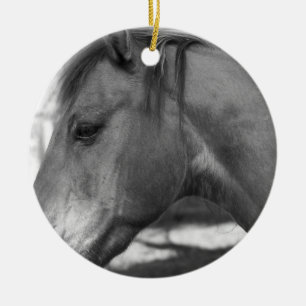 Ornament van zwarte en witte paarden