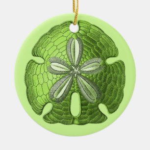 Ornament voor groene zanddollar