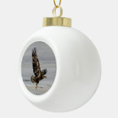Ornament voor Hawk ball of sneeuwvlokken (Rechts)