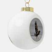 Ornament voor Hawk ball of sneeuwvlokken (Links)