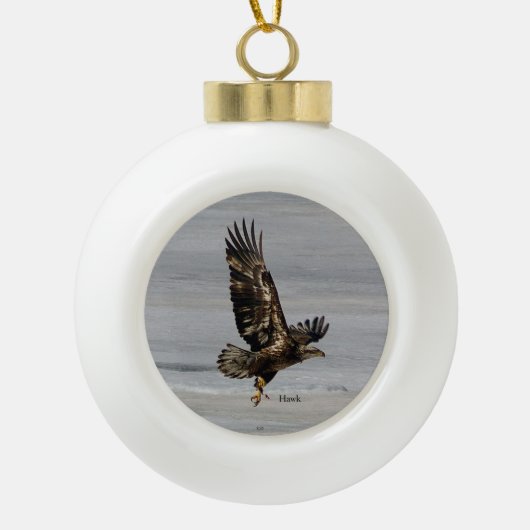 Ornament voor Hawk ball of sneeuwvlokken (Voorkant)