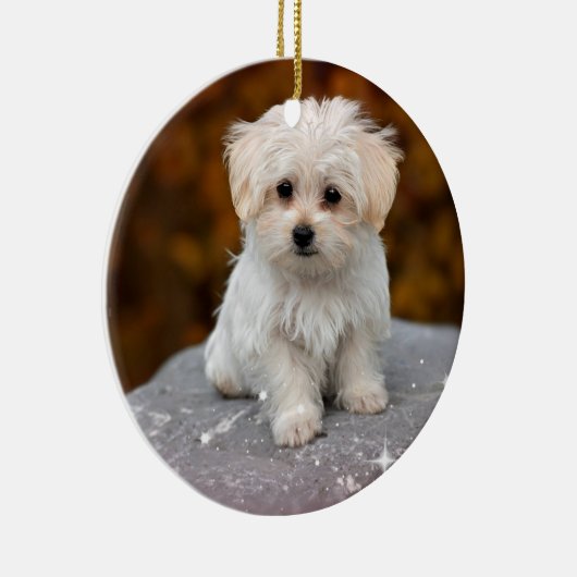 Ornament voor kerstfeestjes (Rechts)