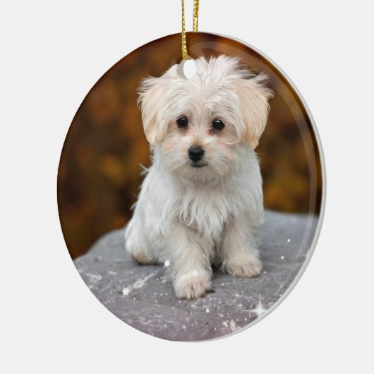 Ornament voor kerstfeestjes (Links)