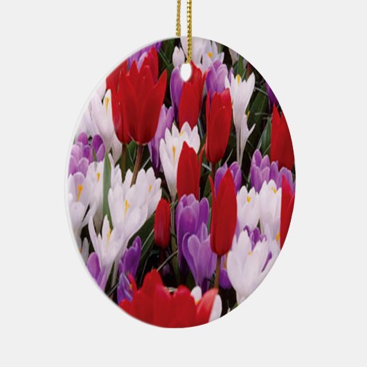 Ornament voor kleurrijke Tulp Flowers (Rechts)