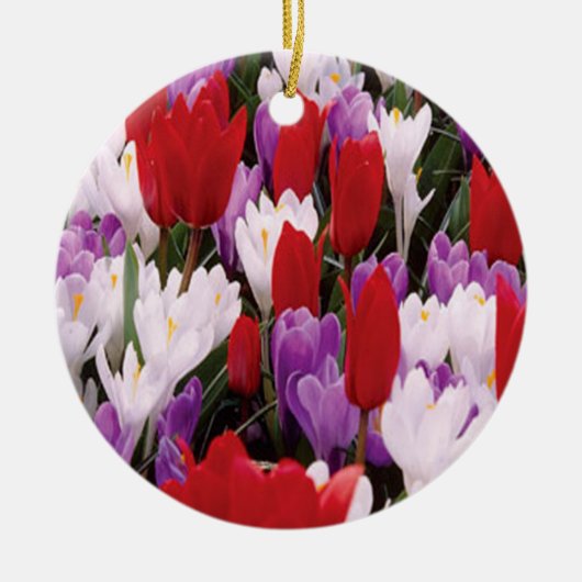 Ornament voor kleurrijke Tulp Flowers (Voorkant)