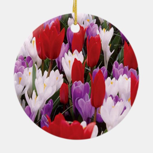Ornament voor kleurrijke Tulp Flowers (Achterkant)