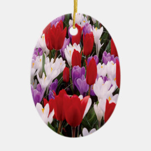 Ornament voor kleurrijke Tulp Flowers