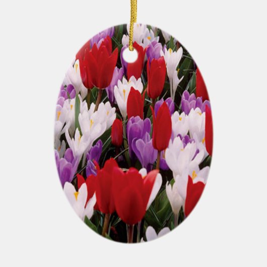 Ornament voor kleurrijke Tulp Flowers (Voorkant)