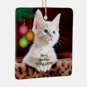 Ornament voor prettige kerstkat (Rechts)