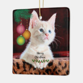 Ornament voor prettige kerstkat (Links)