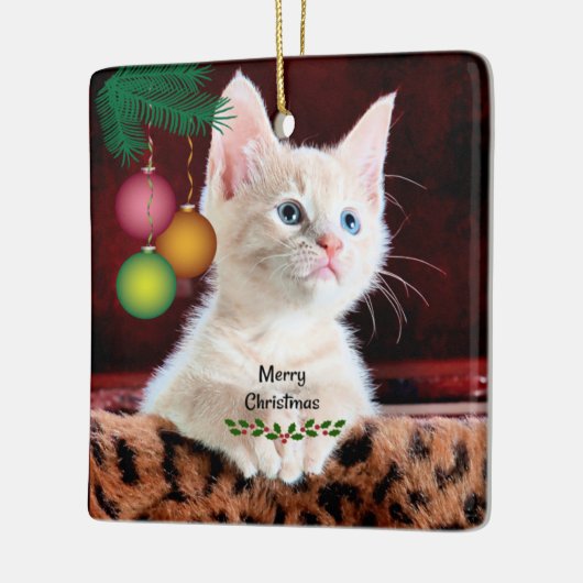 Ornament voor prettige kerstkat (Links)