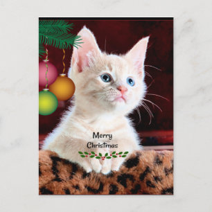 Ornament voor prettige kerstkat briefkaart