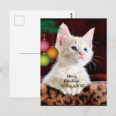 Ornament voor prettige kerstkat briefkaart (Voorkant / Achterkant)