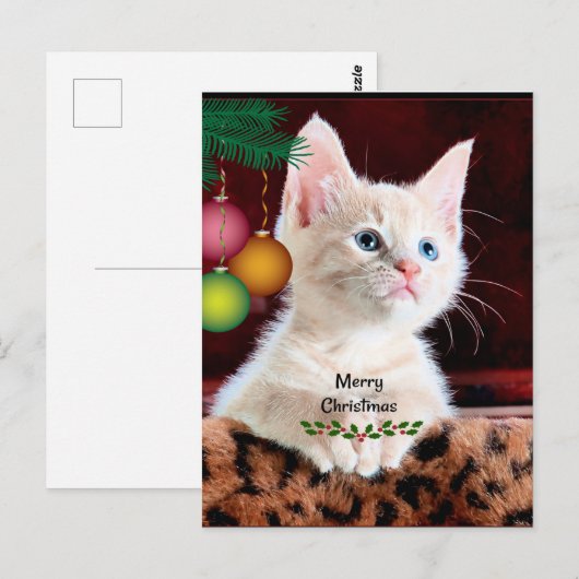 Ornament voor prettige kerstkat briefkaart (Voorkant / Achterkant)