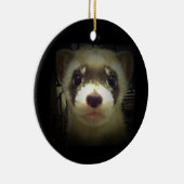 Ornament voor zwarte fret 2011 (Rechts)