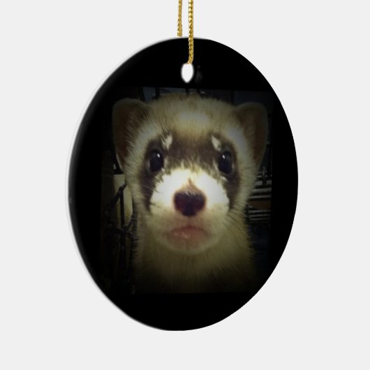 Ornament voor zwarte fret 2011 (Rechts)