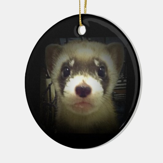 Ornament voor zwarte fret 2011 (Links)