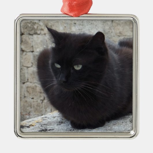 Ornament voor zwarte kat (Voorkant)