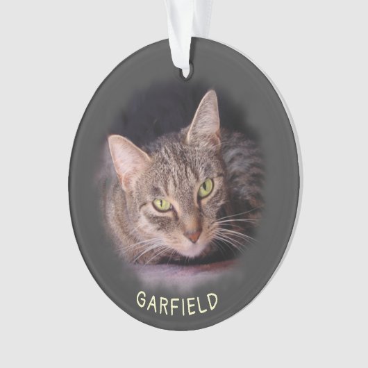 Ornament w. 2 van uw foto's en namen van Pet Acryl (voorkant)