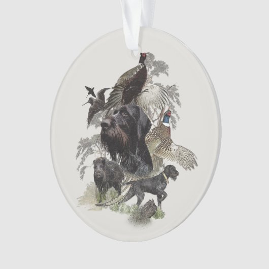 Ornament Wirehaire Pointer (voorkant)