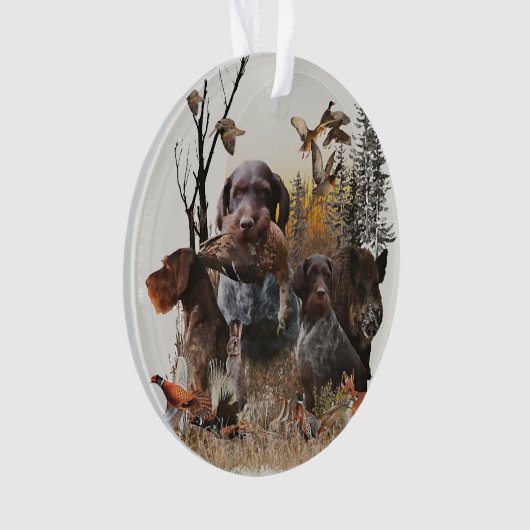 Ornament Wirehaire Pointer (voorkant)